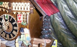 IMG_0410